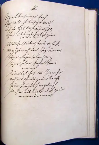 Richter Alte und neue Studenten Lieder mit Bildern und Singweisen o.J.1844 EA js