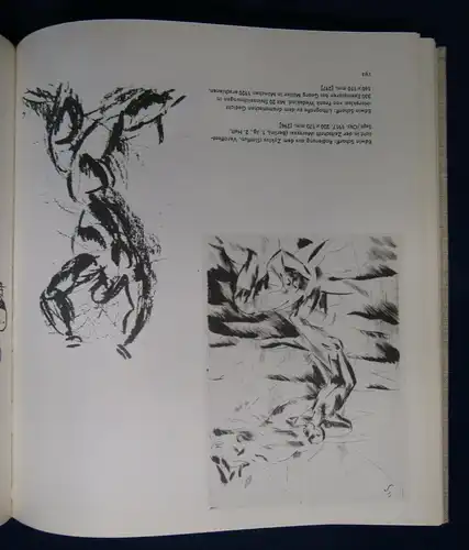 Lang Expressionistische Buchillustration in Deutschland 1907-1927 Kunst js