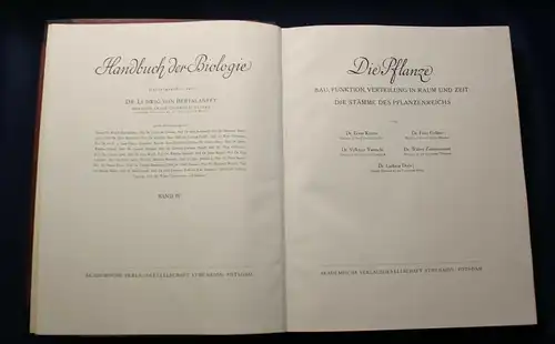 Bertalanffy Handbuch der Biologie Die Pflanze 1950 Band 4 IV Zoologie js