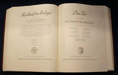 Bertalanffy Handbuch der Biologie Das Tier 1950 Band 5 & 6 Zoologie js