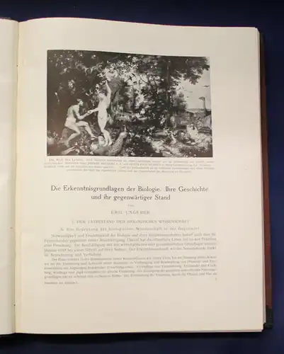 Bertalanffy Handbuch der Biologie, Allgemeine Biologie 1913 Band 1 & 7 js