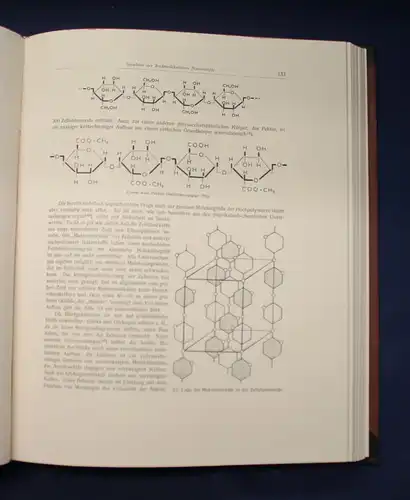 Bertalanffy Handbuch der Biologie, Allgemeine Biologie 1913 Band 1 & 7 js