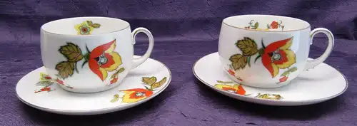 Teeservice von Zeh Scherzer Bavaria (TTATT) um 1930 Art Deco Porzellan sf