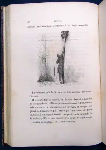 Saintine Picciola mit 150 Abbildungen von Porret 1843 Belletristik Geschichte js