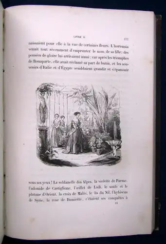 Saintine Picciola mit 150 Abbildungen von Porret 1843 Belletristik Geschichte js