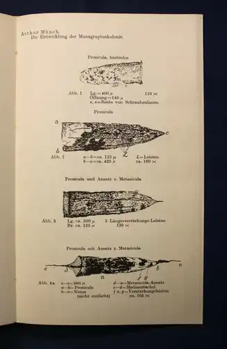 XXII: Bericht der Naturwissenschaftlichen Gesellschaft zu Chemnitz 1925-1927 js