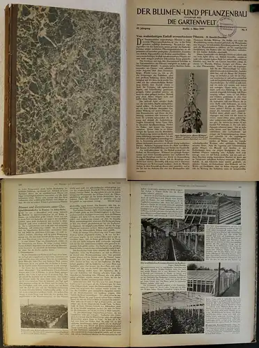 Der Blumen und Pflanzenbau - Die Gartenwelt - März-Dez.1939 -Artikel Botanik xz