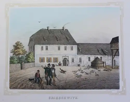 kolorierte Lithografie Crieschwitz Poenicke Schlösser & Rittergüter um 1855 xz