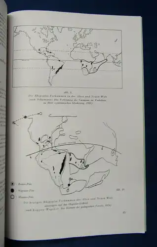 Cactaceae Jahrbücher der Deutschen Kakteengesellschaft E. V. 1942 2. Teil js