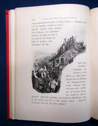 Schaumberger Bergheimer Musikanten - Geschichten 2. Band 1897 Kultur sf