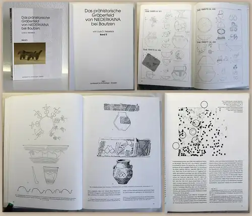 Nebelsick Das prähistorische Gräberfeld von Niederkaina bei Bautzen 2001 Sachsen
