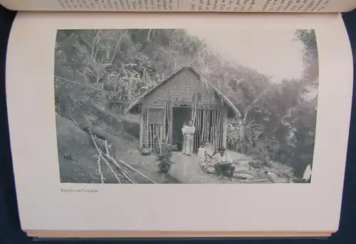 Kretzen Zwischen Parana und Tiete 1930 Tiere u. Menschen im Urwald  js