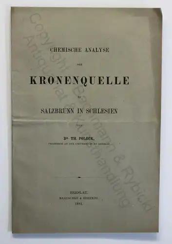 Poleck Chemische Analyse der Kronenquelle zu Salzbrunn Schlesien 1882 xz