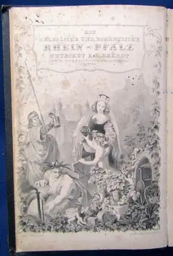 Die malerische-u. romantische Rhein-Pfalz Or. Ansichten in Stahlstichen 1856 js