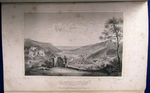 Die malerische-u. romantische Rhein-Pfalz Or. Ansichten in Stahlstichen 1856 js