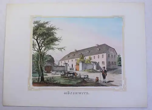 kolor. Lithografie Möschwitz Poenicke Schlösser & Rittergüter um 1855 Sachsen xz