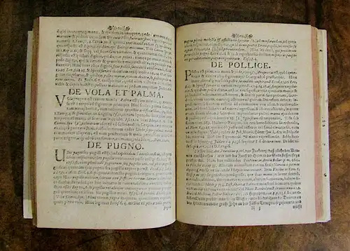Praetorius Philologemata abstrusa vom Diebes-Daume 1677 Okkultismus Magie Hexe
