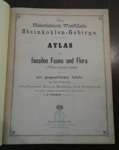 Das Niederrheinische-Westfälische Steinkohlen-Gebirge Atlas sehr selten 1880 js