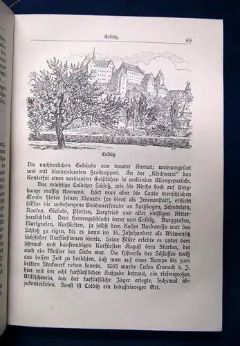 Haumann Sachsenstädte (Ein Buch von Heimatstolz und Wanderlust) 1925 Saxonica sf