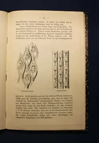 Pelz Die Geologie der Heimat  Gezeigt am sächsischen Erzgebirgssytem Sachsen js