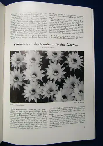 Kakteen und andere Sukkulenten Jahrgang 15, 1964 Pflanzenkunde Botanik js