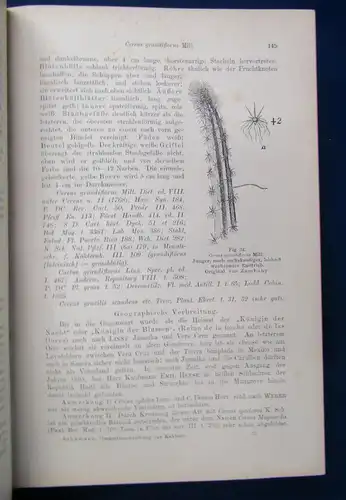 Gesamtbeschreibung der Kakteen 2 Teile in 1 Bd 1903 Botanik Pflanzenkunde js