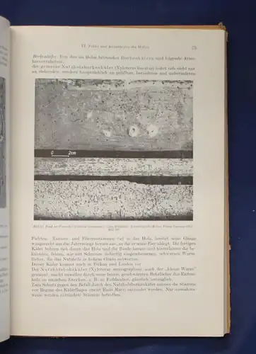 Schmidt Konvolut Holztechniken Verarbeitung Trocknung 3 Bücher 1953/1979 js