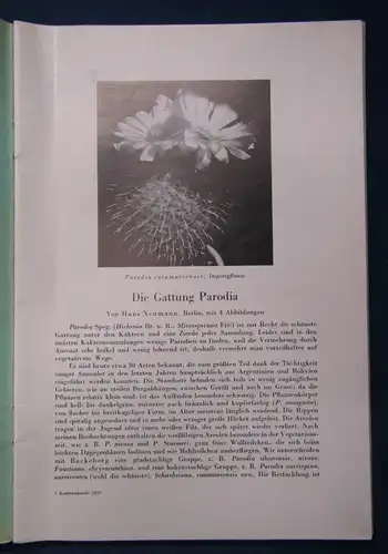 Kakteenkunde Lieferung 1-3 1939 Botanik Natur Forschung Phytologie js