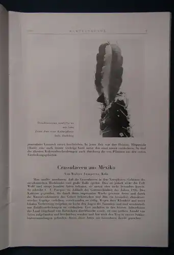 Kakteenkunde Lieferung 1-3 1939 Botanik Natur Forschung Phytologie js