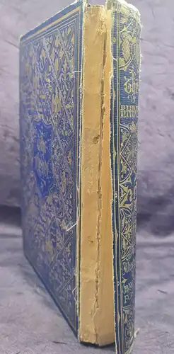 Mayhew The Rhine and its picturesque Scenery 1856 Geschichte Landschaft sf