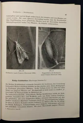 Klinkowski Phytopathologie und Pflanzenschutz 3. Band 1968 Botanik Pomologie sf