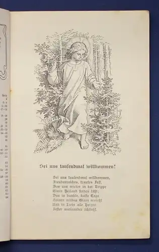 Fischer christlicher Jugendfreund- Kalender auf das Jahr des Herrn 1909 js