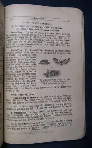 Prieß Tierkunde für landwirtschaftliche Schulen 1928 Biologie Zoologie Tiere  js