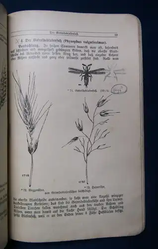 Prieß Tierkunde für landwirtschaftliche Schulen 1928 Biologie Zoologie Tiere  js