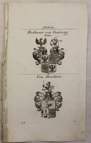 Kupferstich Wappen Familie Haslmair von Grafsegg & Von Haubner 1825 Heraldik xz