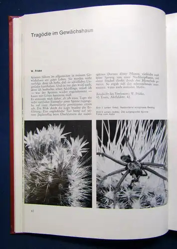 Kakteen und andere Sukkulenten 20. Jahrgang 1969 Natur Botanik Pflanzen sf