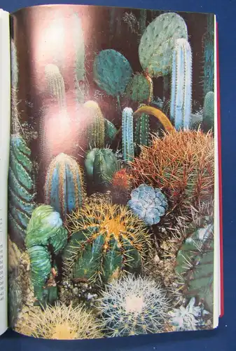 Kakteen und andere Sukkulenten 23. Jahrgang 1973 Natur Botanik Pflanzen sf