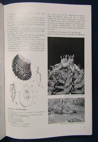Kakteen und andere Sukkulenten 23. Jahrgang 1972 Natur Botanik Pflanzen sf