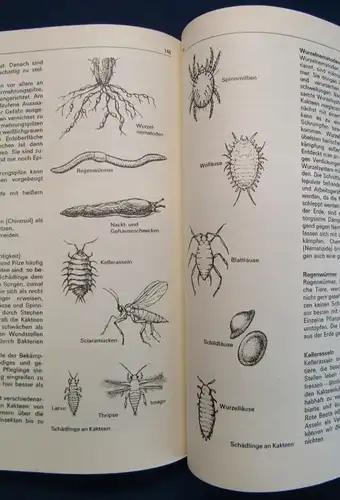 Schöne Kakteen richtig pflegen, Das praktische Kakteenbuch, Ratschläge 1983 js