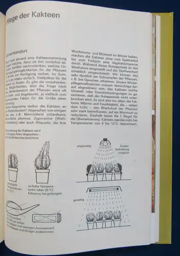 Schöne Kakteen richtig pflegen, Das praktische Kakteenbuch, Ratschläge 1983 js