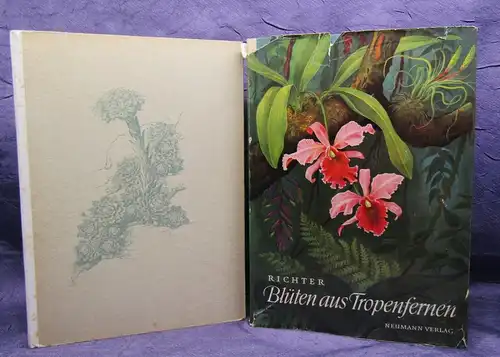 Richter 2 Blumenbücher Der Steingarten, Blüten aus Tropenfernen 1954 js