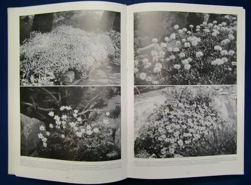 Richter 2 Blumenbücher Der Steingarten, Blüten aus Tropenfernen 1954 js