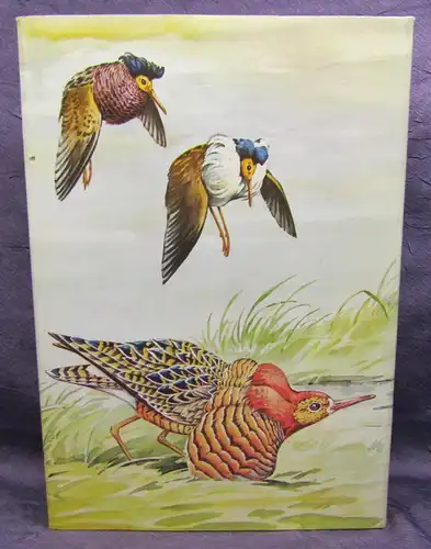 Makatsch Die Limikolen Europas 1981 Ornithologie Vogelkunde Natur Wissen sf