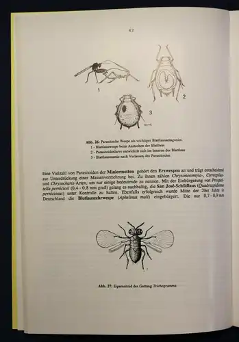 Freier Integrierter Pflanzenschutz im Apfelanbau 1992 Botanik Pomologie sf