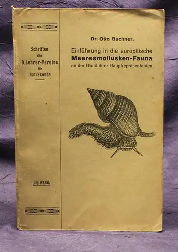 Buchner Einführung in die europäische Meeresmollusken- Fauna 1913 Weichtiere js