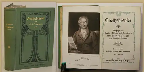 Heinemann Goethebrevier 1905 Belletristik Klassiker Literatur Briefe Gespräch sf