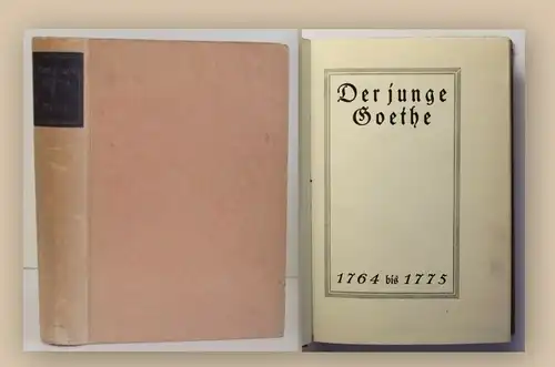 Stein Der junge Goethe 1924 1. Bd Klassiker Weltliteratur Belletristik xy
