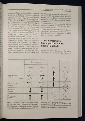 Bruhn/Fölsch Lehrbuch der Labormedizin 1999 Medizin Wissen Studium Grundlagen sf