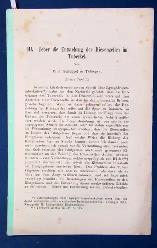Schüppel III. Ueber die Entstehung der Riesenzellen im Tuberkel 1871 Studium js