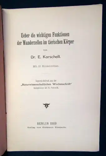 Ueber die wichtigen Funktionen der Wanderzellen im tierischen Körper 1889 js